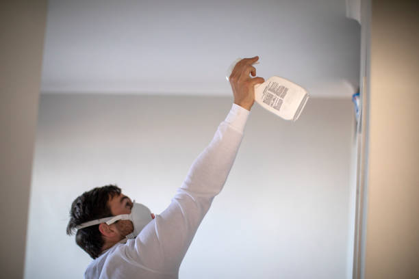 Best Fast Mold Removal  in Bristol, CT