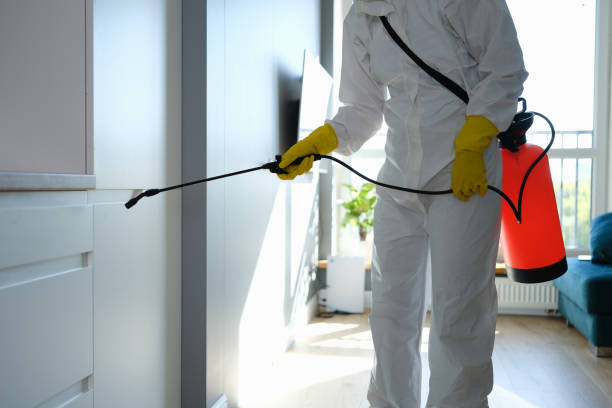 Best Certified Mold Removal  in Bristol, CT