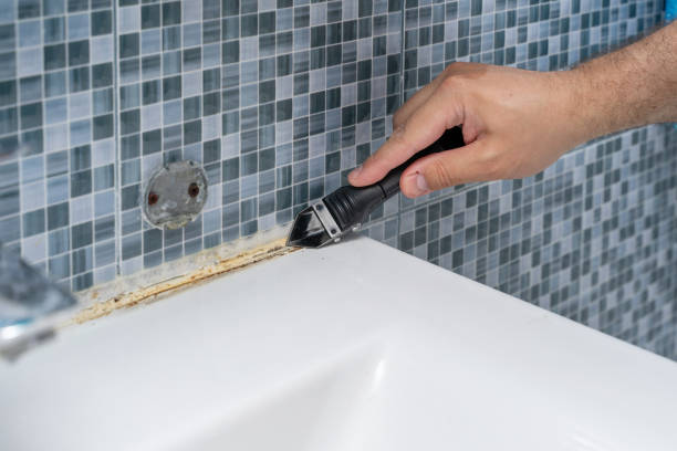 Best Professional Mold Removal  in Bristol, CT