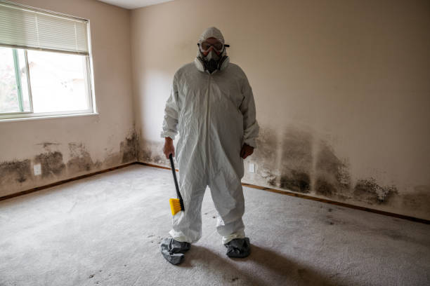 Best Crawl Space Mold Removal  in Bristol, CT